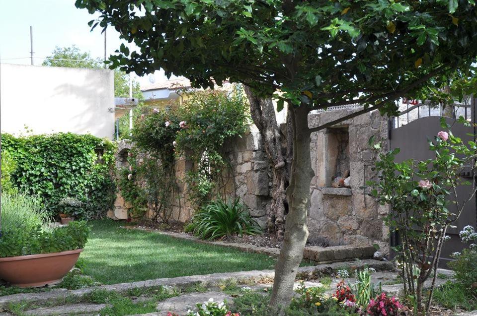 B&B Casa Ghiani Isili Exterior foto